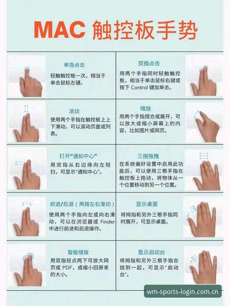 掌握完美体育官方APP高效使用的关键技巧与实用指南